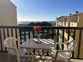 Studio Cabine Vue Mer - 4 Pers, Balcon, Animaux Bienvenus - FR-1-229D-15